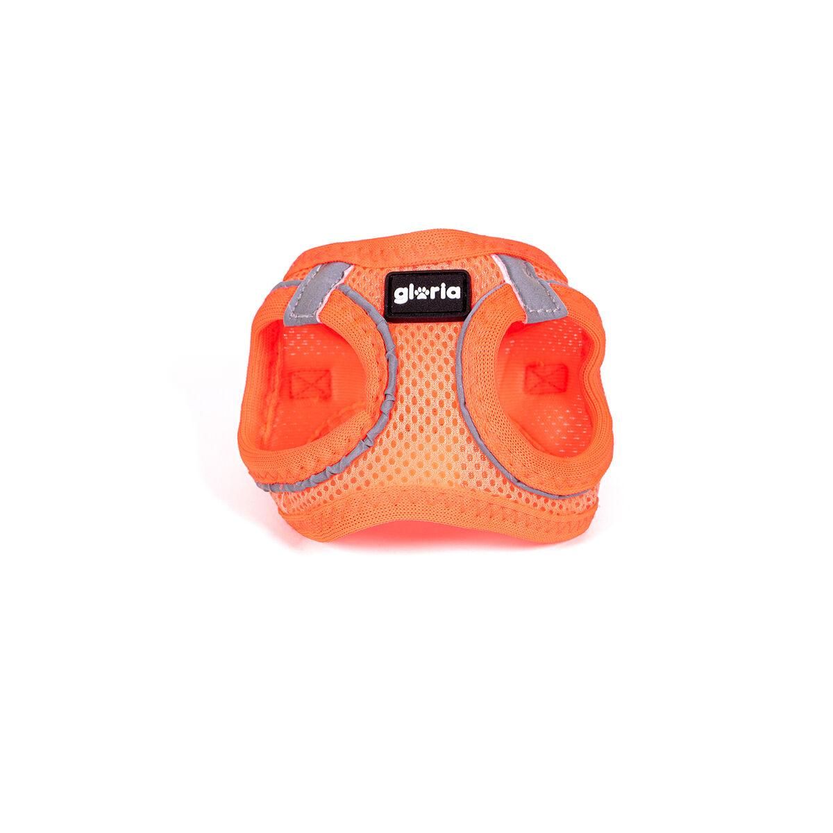 Hundesele Gloria Trek Star 27-28 cm 31-34,6 cm Orange XS