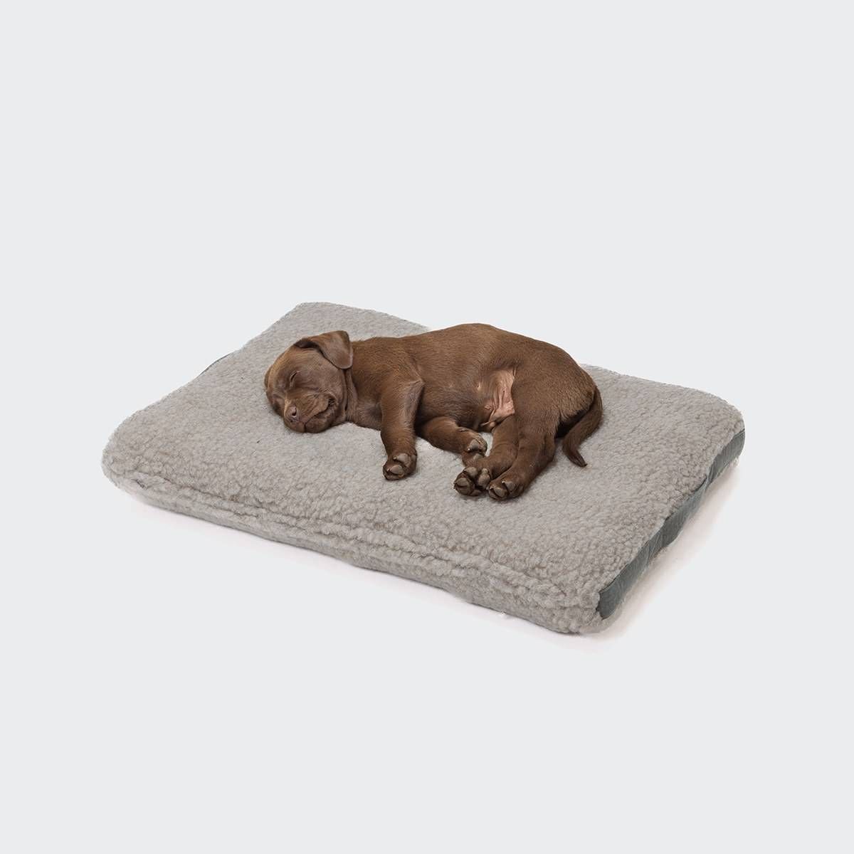 Hundeseng Siesta Teddy, en fluffy drøm! - XL (120x90x15cm)