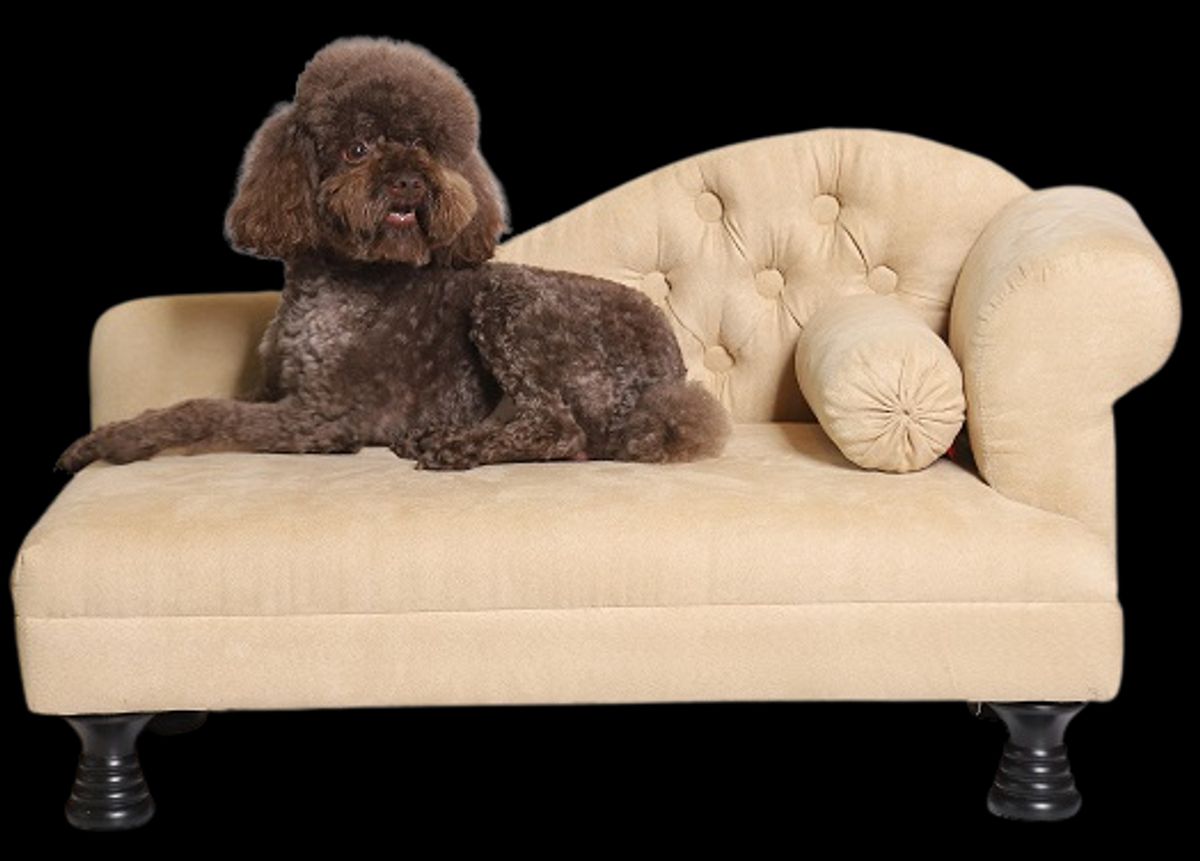 Hundesofa med 1 armlæn - beige - hundekurv