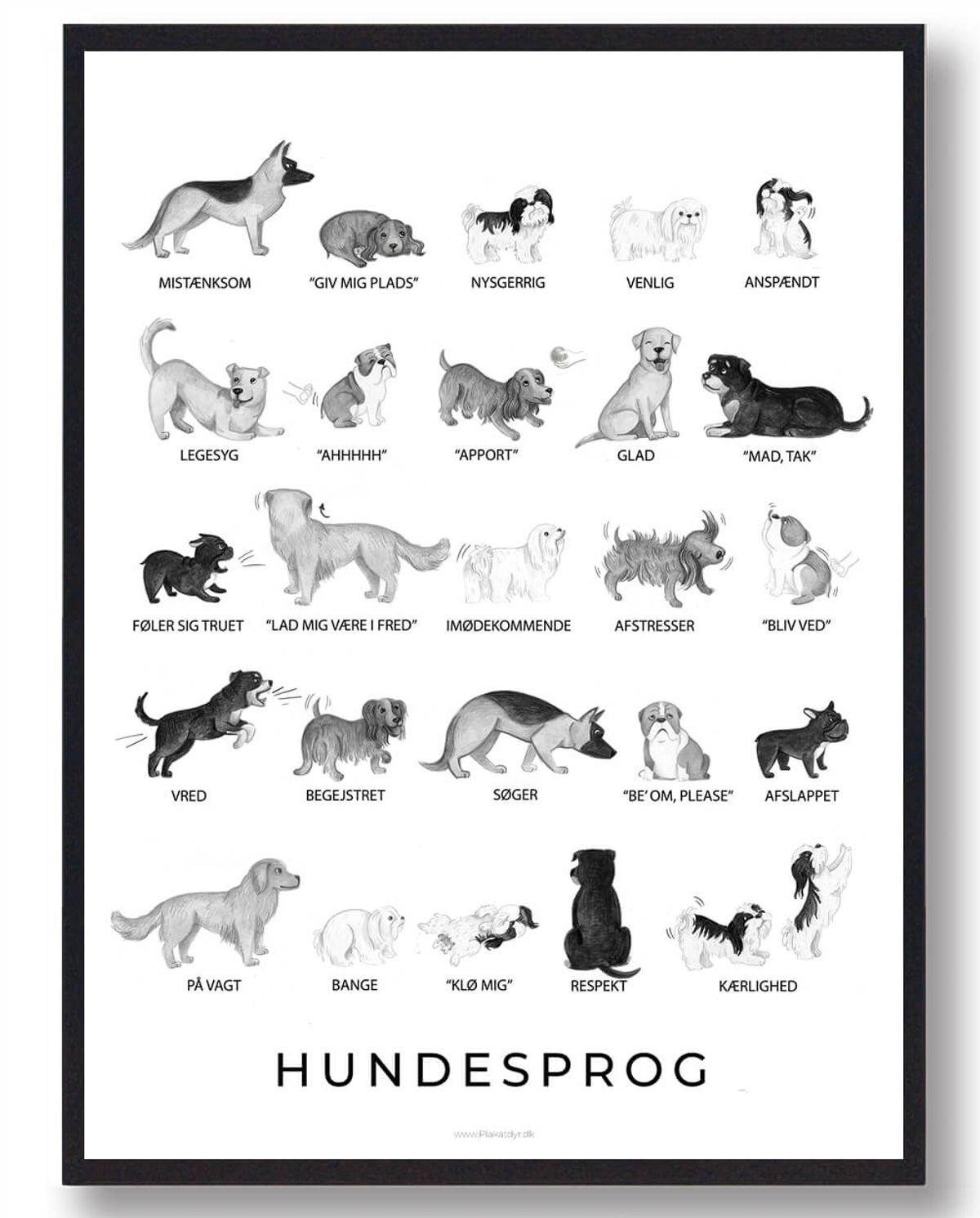 Hundesprog sort/hvid - plakat (Størrelse: L - 50x70cm (B2))