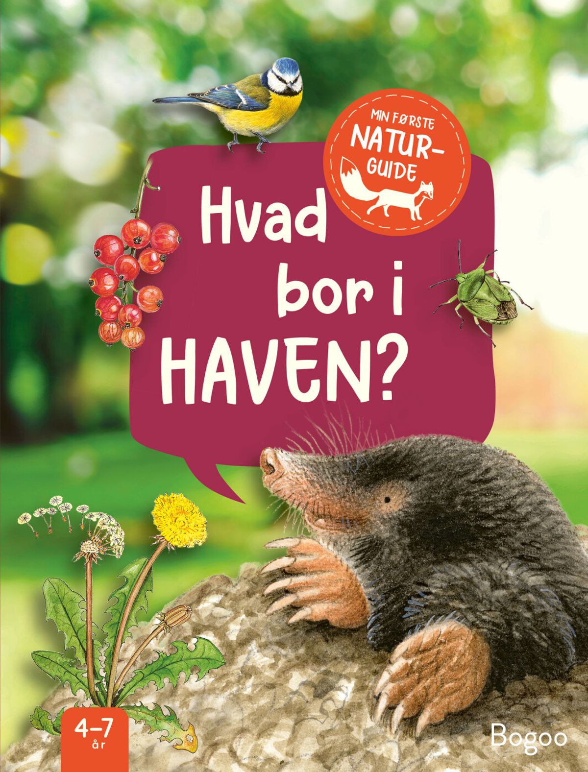 Hvad Bor I Haven? - Julia Hiller - Bog