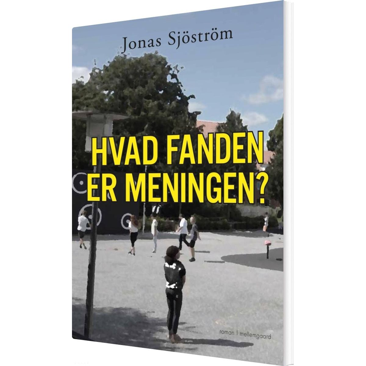 Hvad Fanden Er Meningen? - Jonas Sjöström - Bog