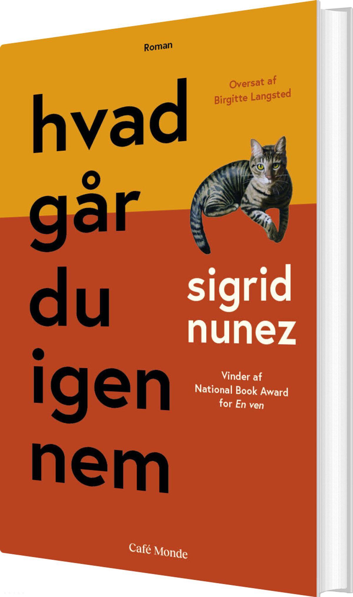 Hvad Går Du Igennem - Sigrid Nunez - Bog