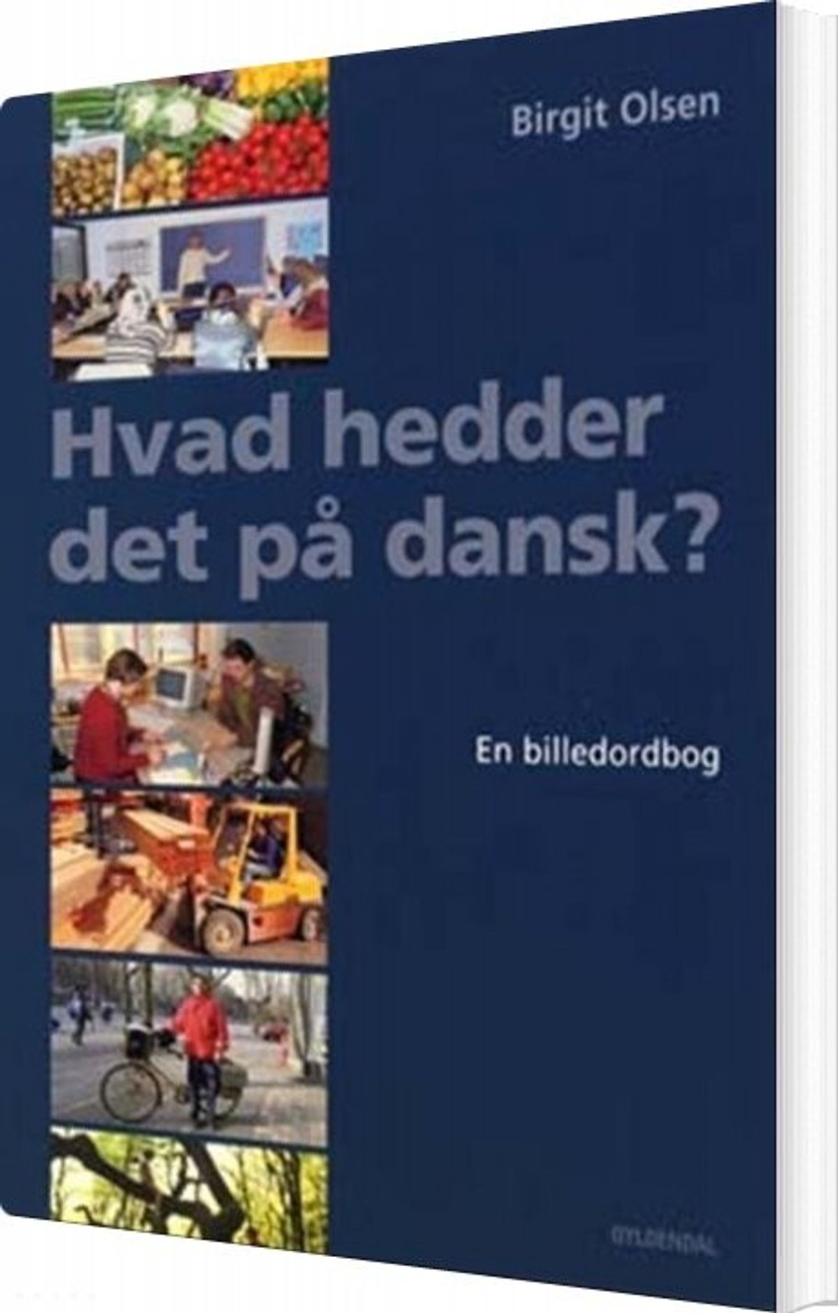 Hvad Hedder Det På Dansk? - Birgit Olsen - Bog