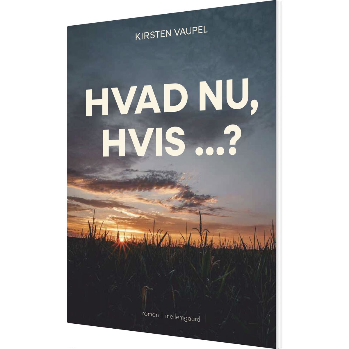 Hvad Nu, Hvis ? - Kirsten Vaupel - Bog