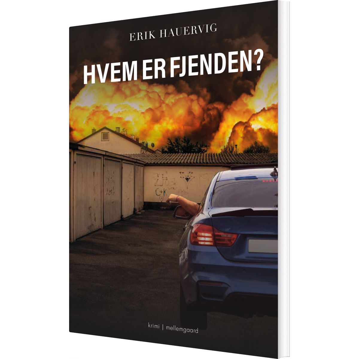 Hvem Er Fjenden? - Erik Hauervig - Bog