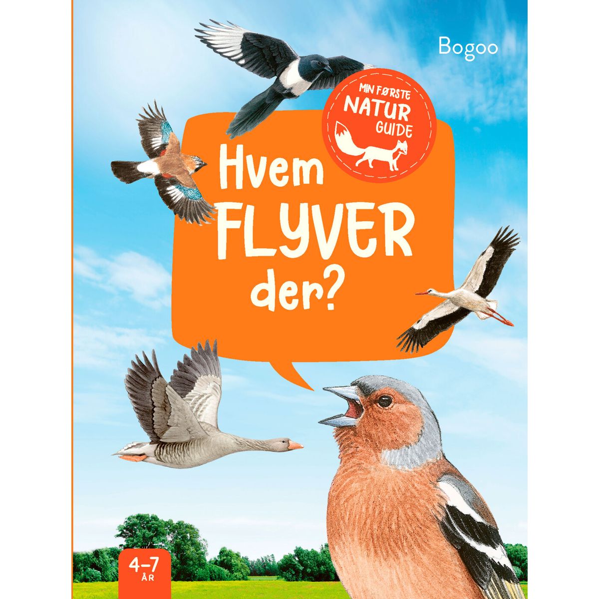 Hvem Flyver Der? - Lea Hille - Bog