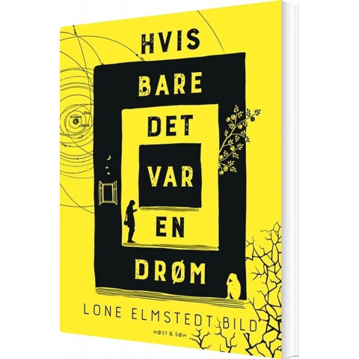 Hvis Bare Det Var En Drøm - Lone Elmstedt Bild - Bog