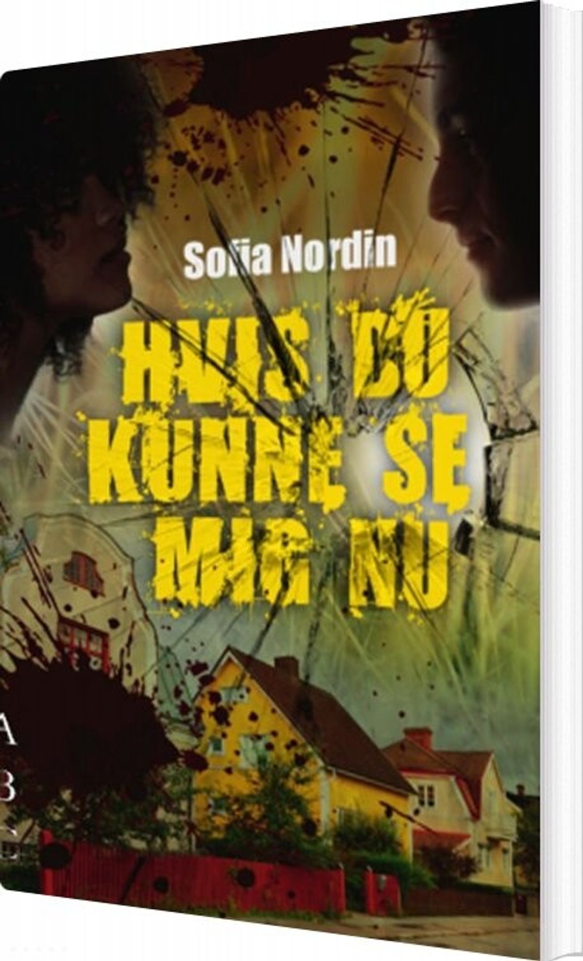 Hvis Du Kunne Se Mig Nu - Sofia Nordin - Bog