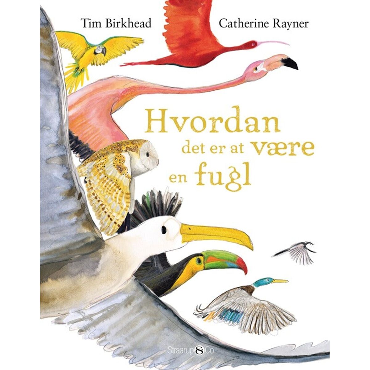 Hvordan Det Er At Være En Fugl - Tim Birkhead - Bog