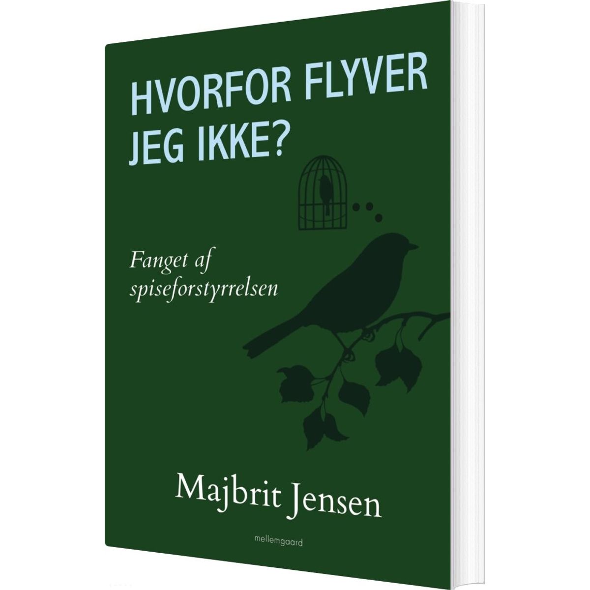 Hvorfor Flyver Jeg Ikke? - Majbrit Jensen - Bog