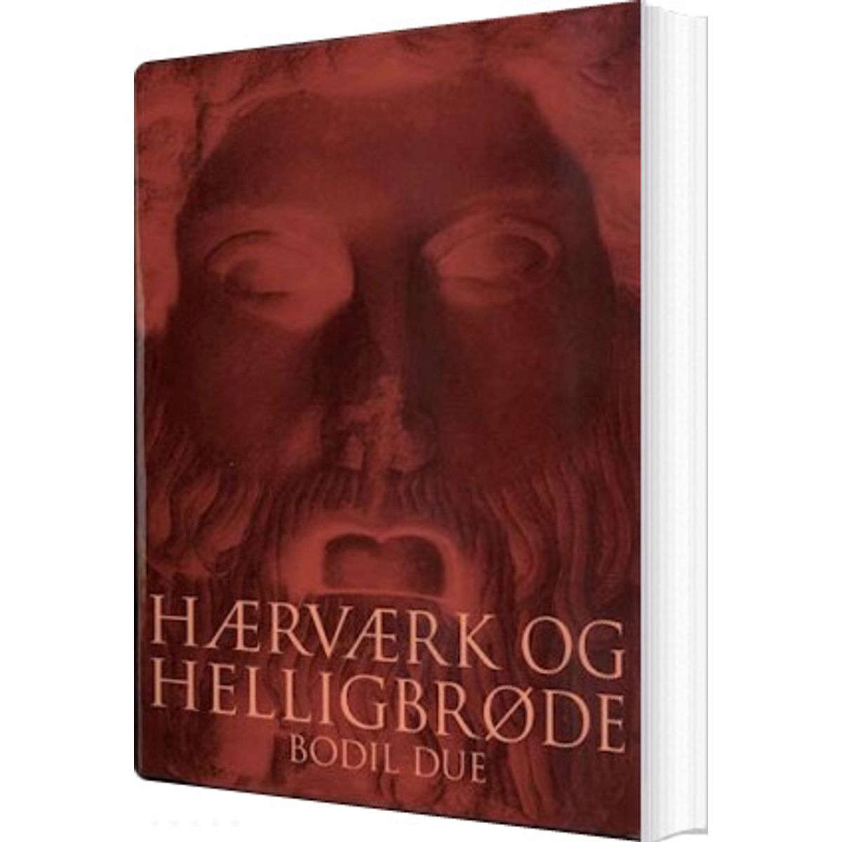 Hærværk Og Helligbrøde - Bodil Due - Bog