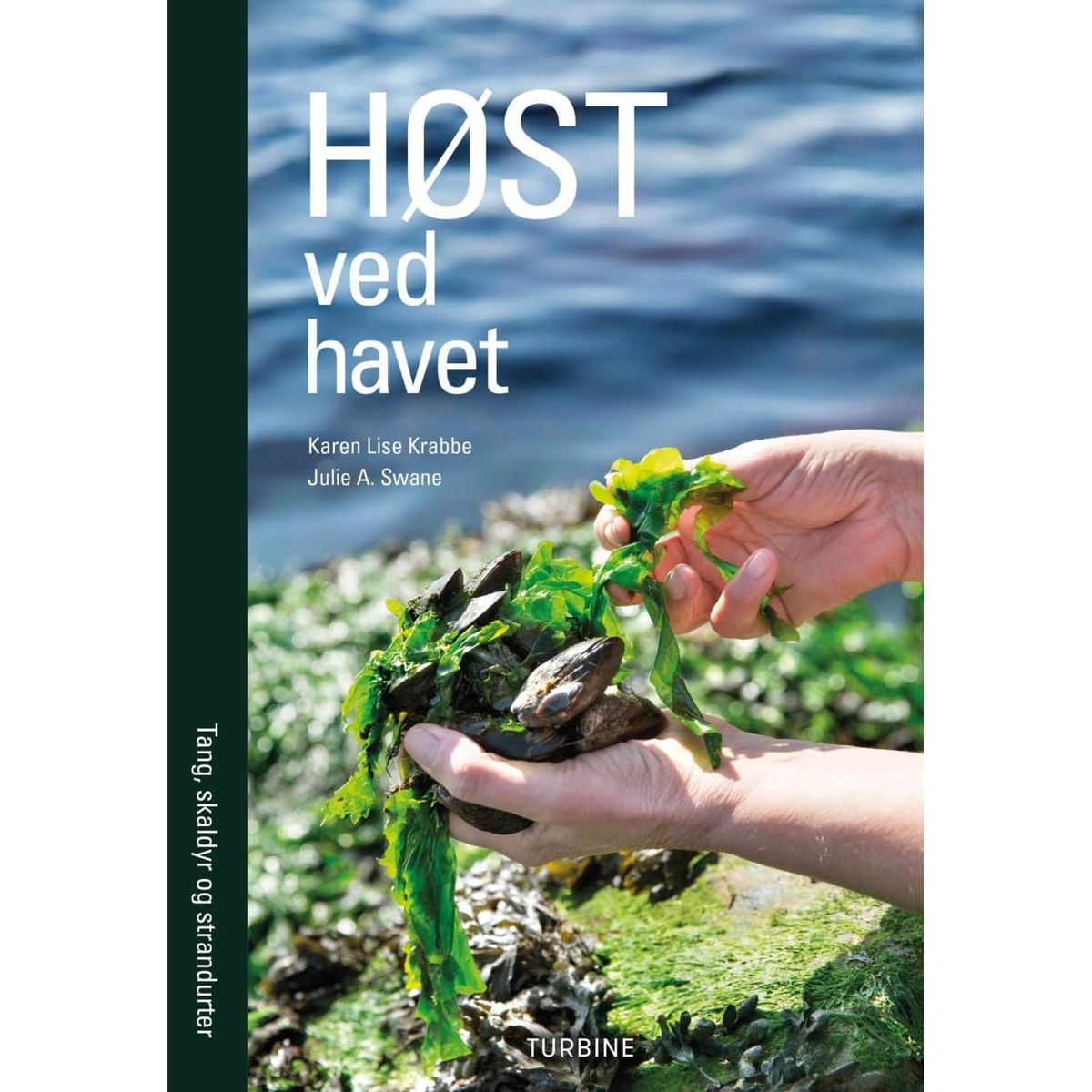 Høst ved havet