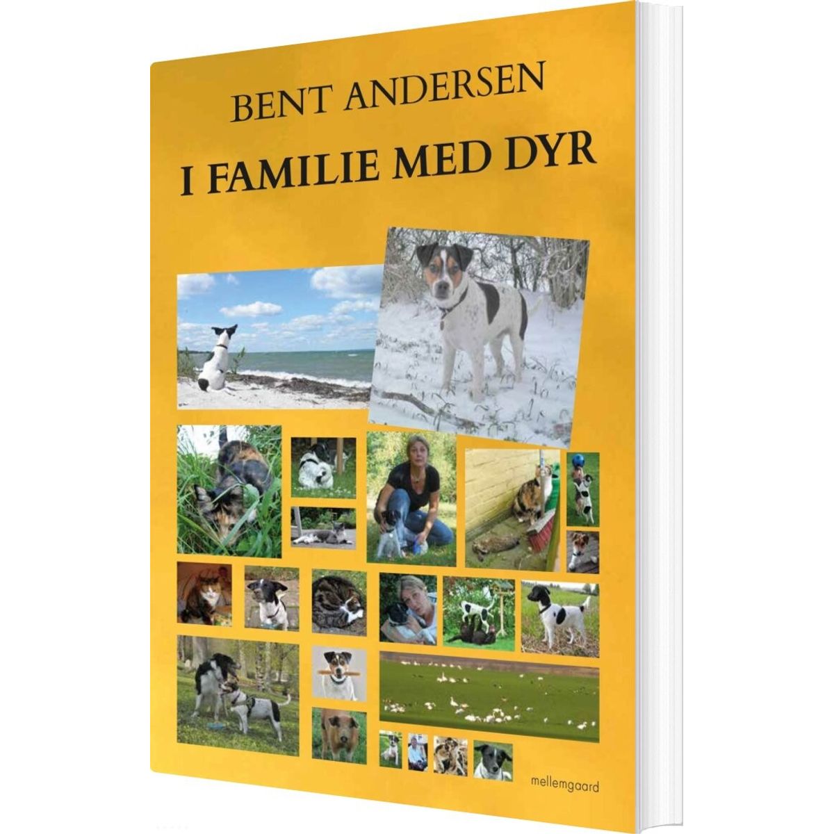 I Familie Med Dyr - Bent Andersen - Bog