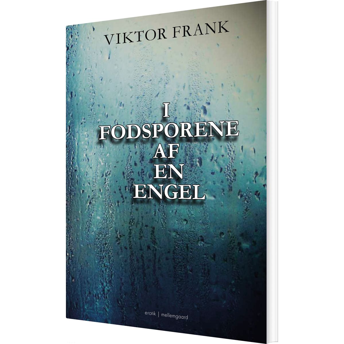 I Fodsporene Af En Engel - Viktor Frank - Bog