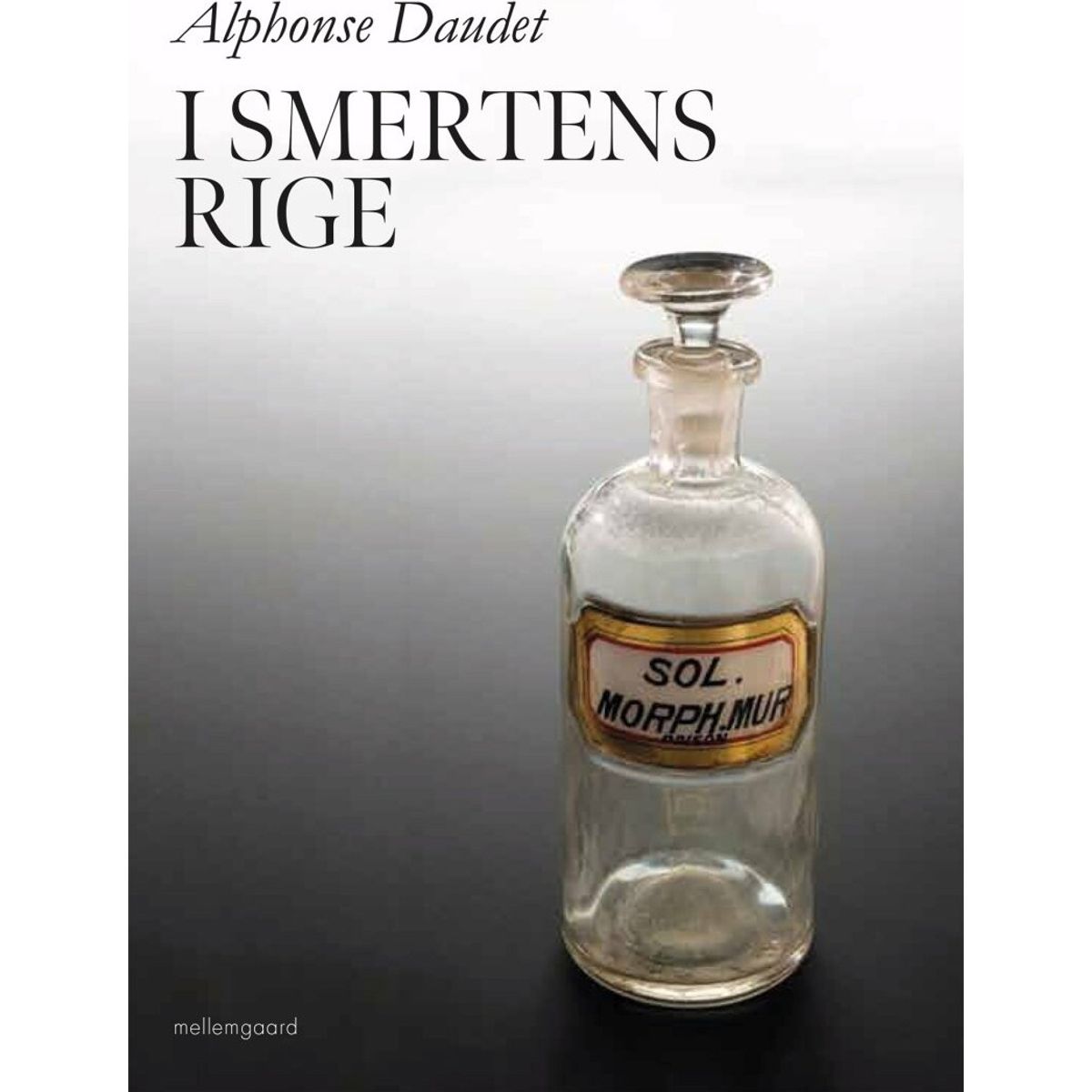 I Smertens Rige - Alphonse Daudet - Bog