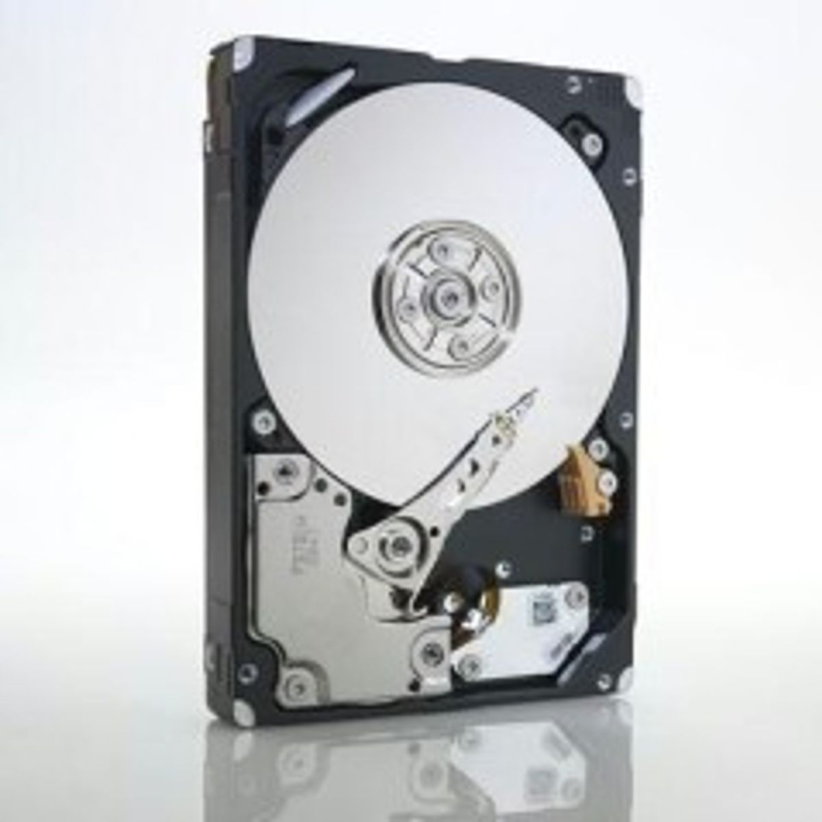 IBM ES/600G 6GbpsSAS2.5 SlimHS HDD