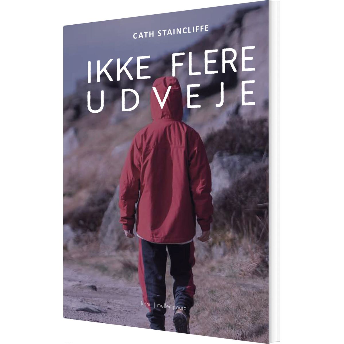 Ikke Flere Udveje - Cath Staincliffe - Bog