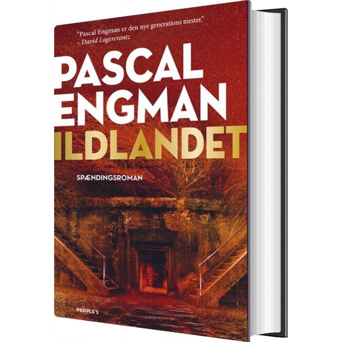 Ildlandet - Pascal Engman - Bog