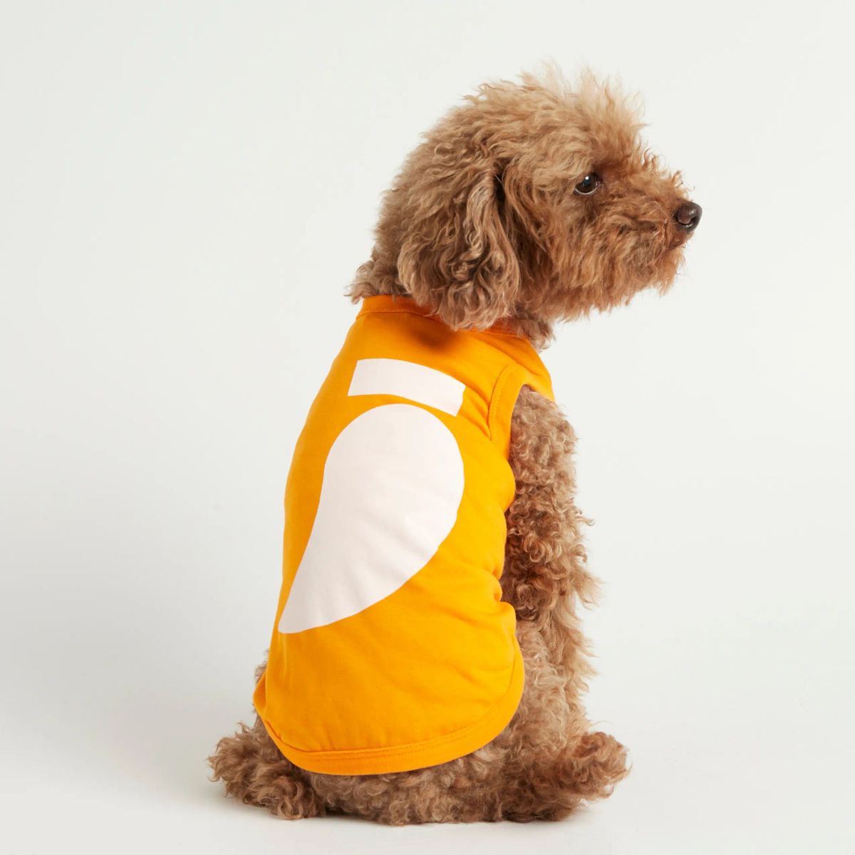 Imi Bodysuit // Hundetrøje i økologisk bomuld (orange) - M