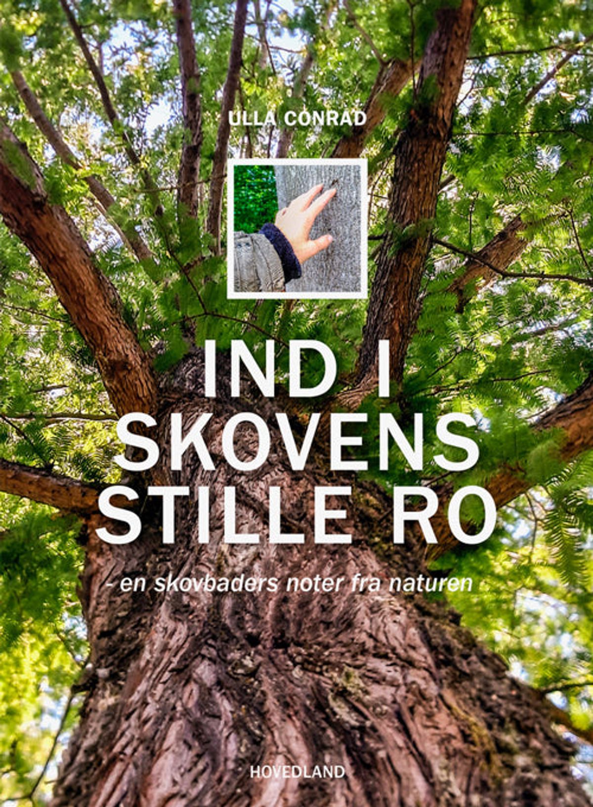 Ind i skovens stille ro