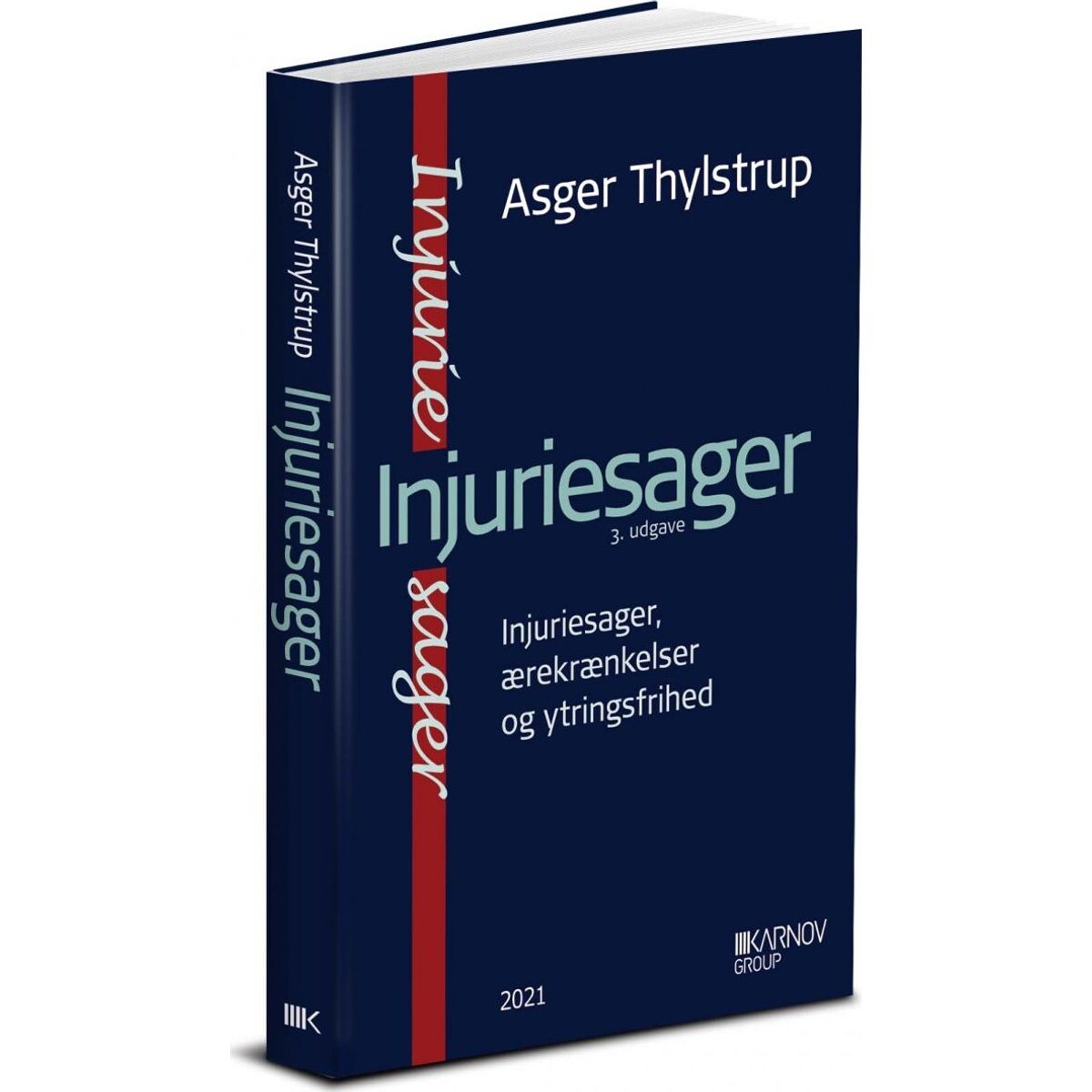 Injuriesager - Asger Thylstrup - Bog