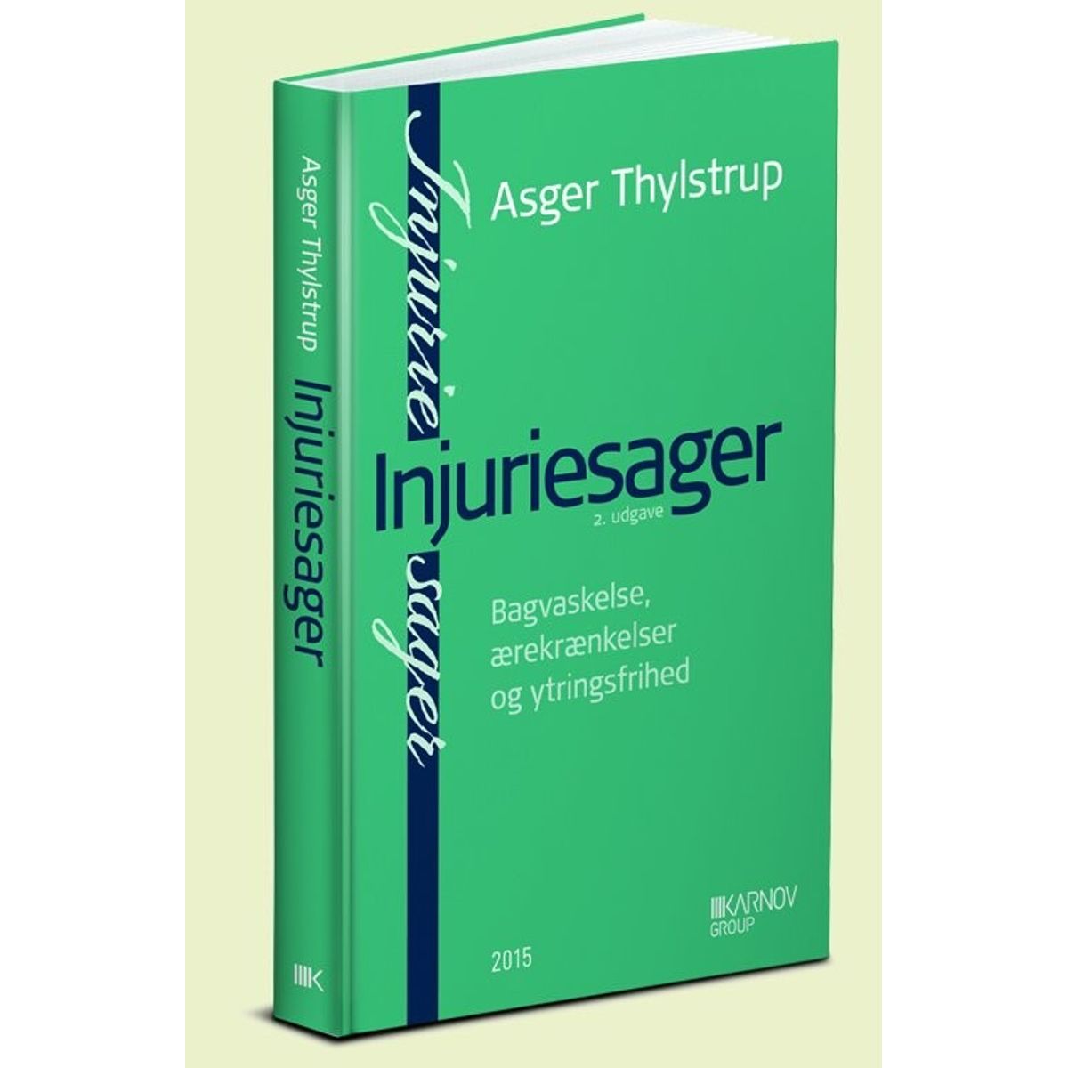 Injuriesager - Asger Thylstrup - Bog