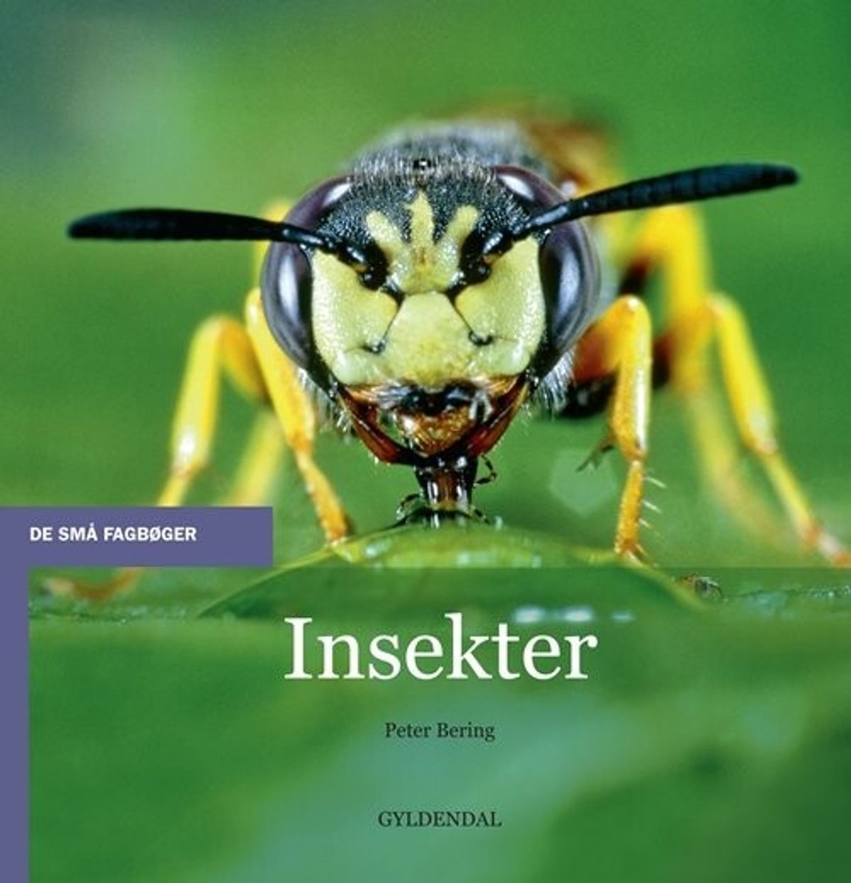 Insekter - Peter Bering - Bog