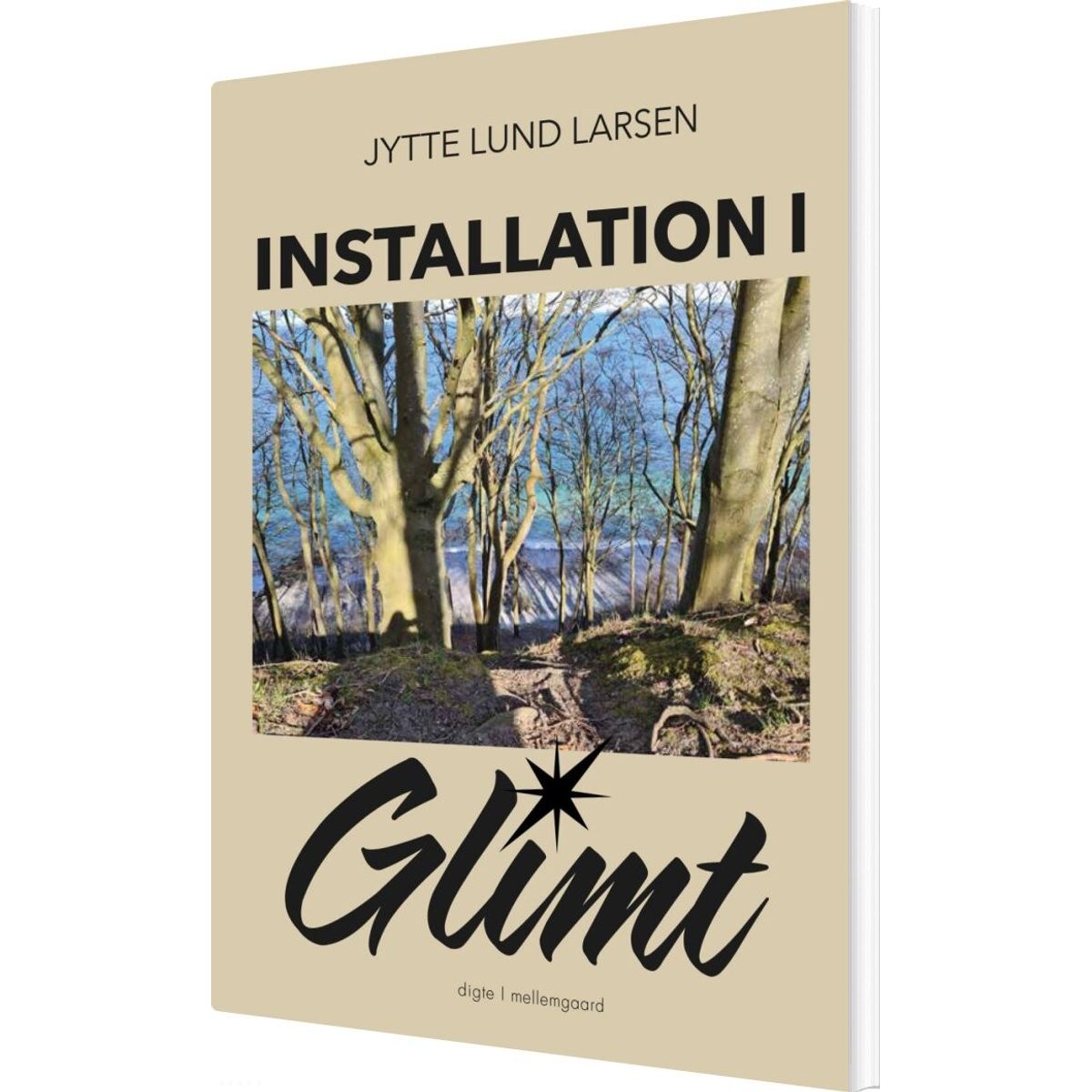 Installation I Glimt - Jytte Lund Larsen - Bog