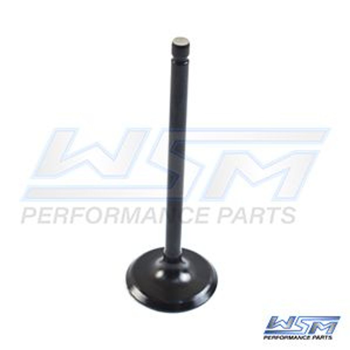 Intake Valve: Yamaha 115 Hp 4 Stroke 14-21 - 6EK121110000