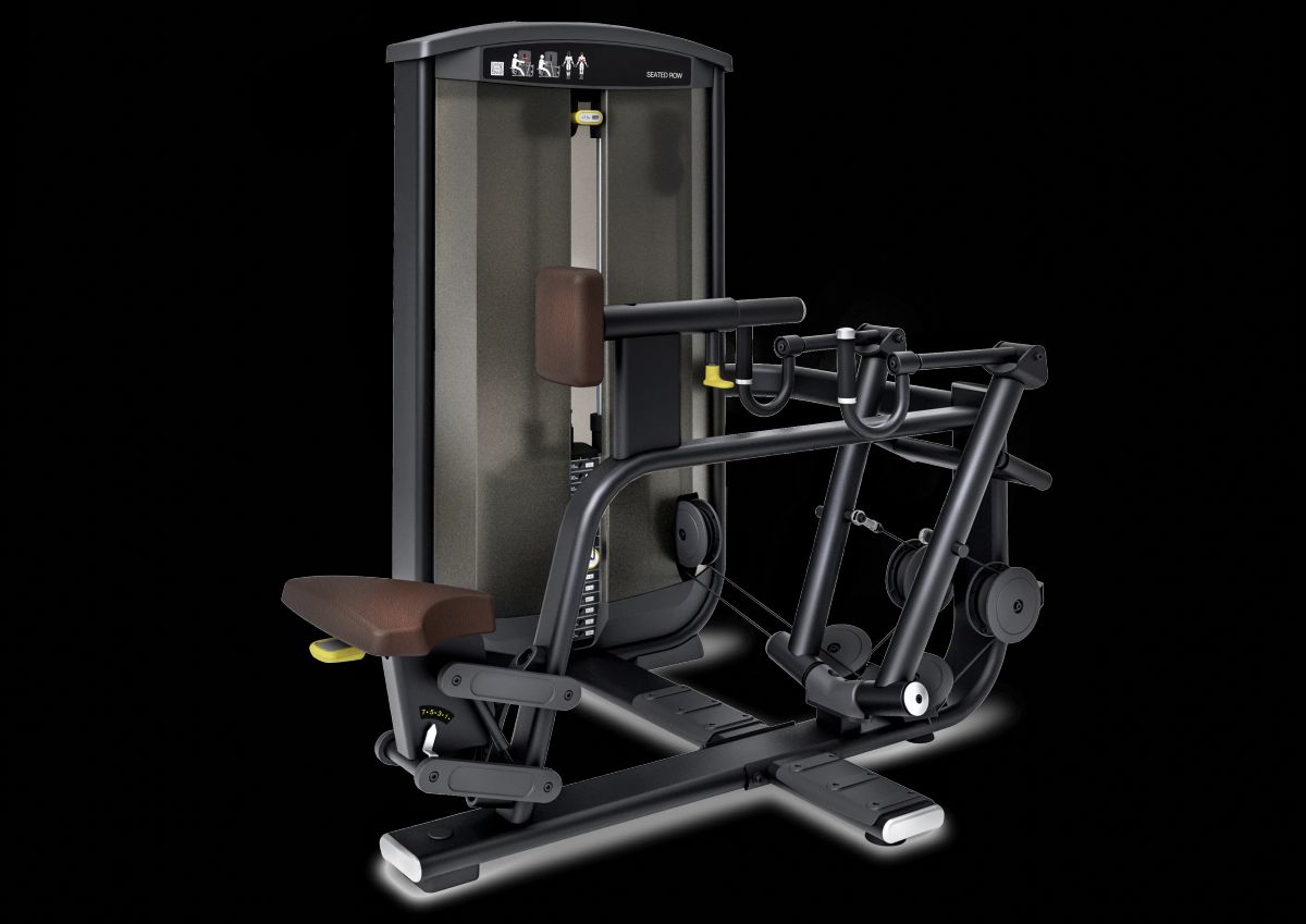 Intenza Ease Line Seated Row/Rear Deltoid (vægtstak: 102 kg)