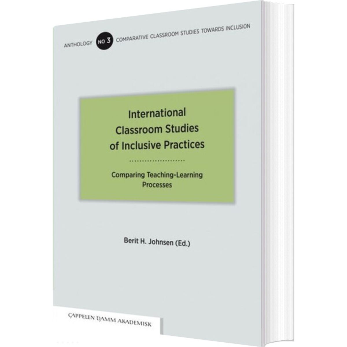 International Classroom Studies Of Inclusive Practices - English book