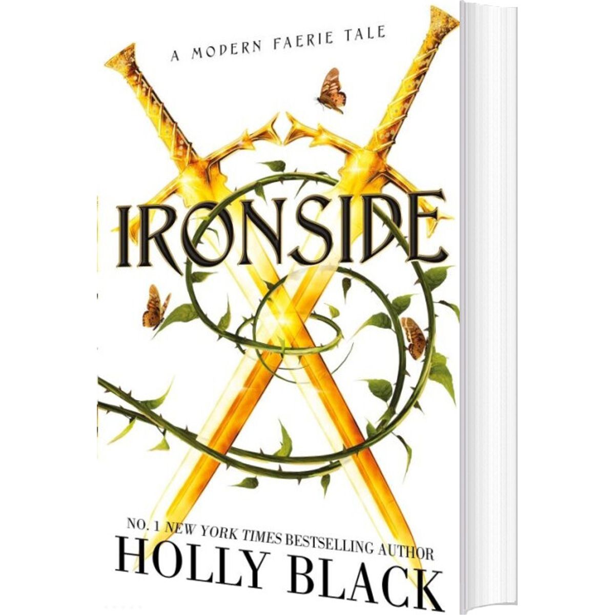 Ironside: A Modern Faerie Tale - Holly Black - English Book