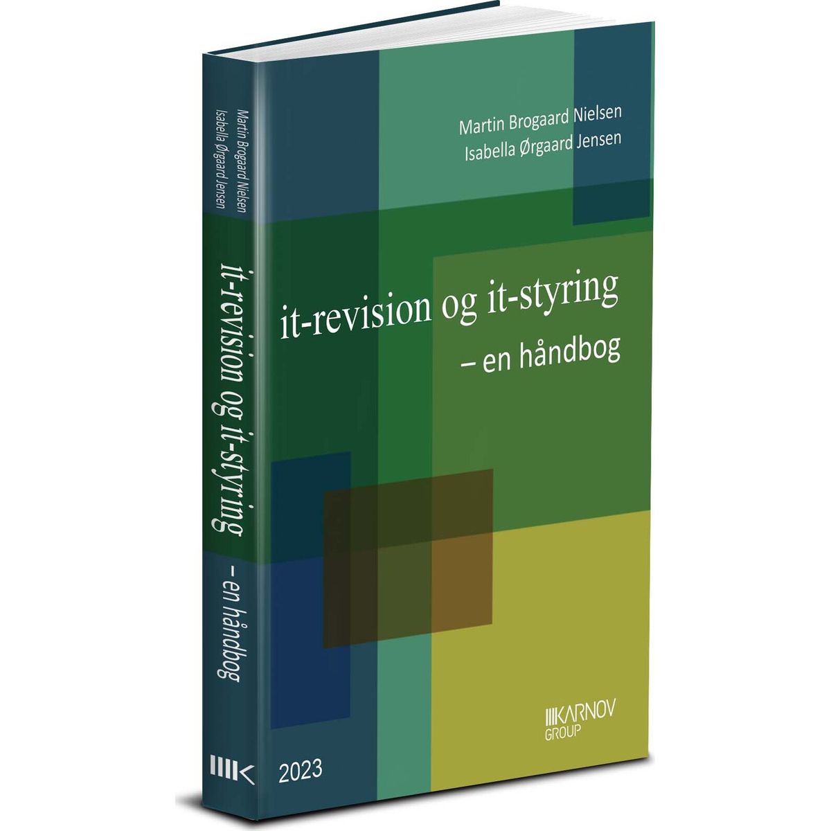 It-revision Og It-styring - En Håndbog - Martin Brogaard Nielsen - Bog