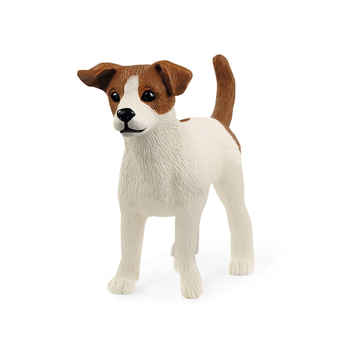 Jack Russell-Terrier (One size)