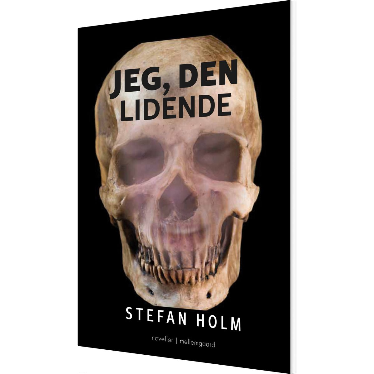 Jeg, Den Lidende - Stefan Holm - Bog