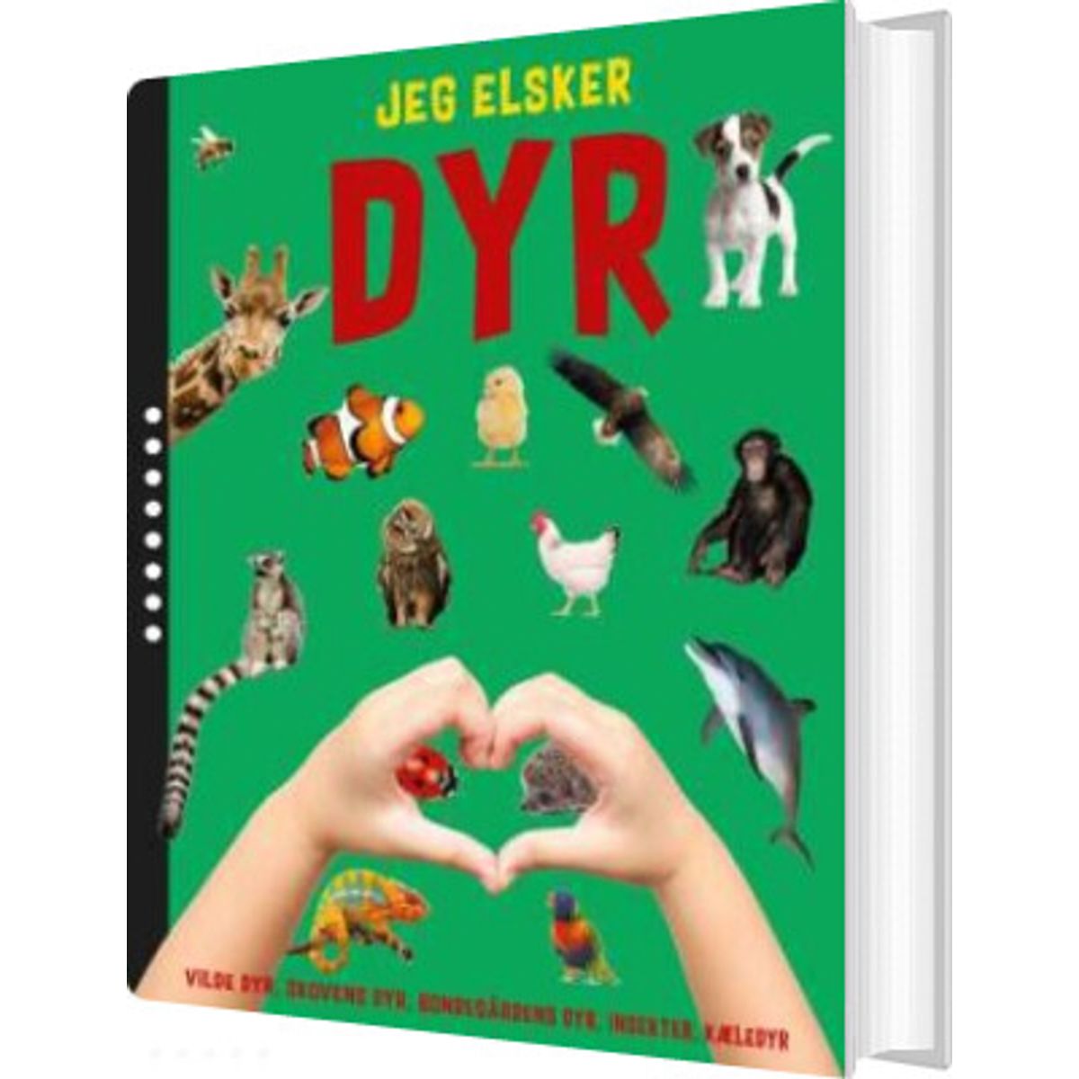 Jeg Elsker Dyr - Diverse - Bog