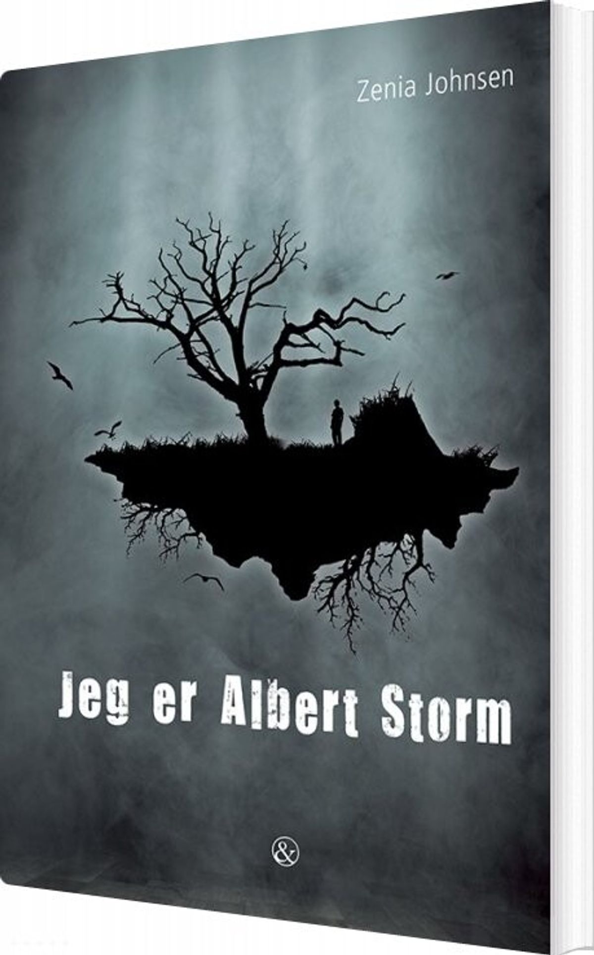 Jeg Er Albert Storm - Zenia Johnsen - Bog