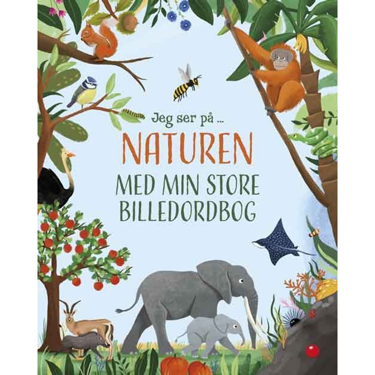 Jeg Ser På ... Naturen Med Min Store Billedordbog - Diverse - Bog