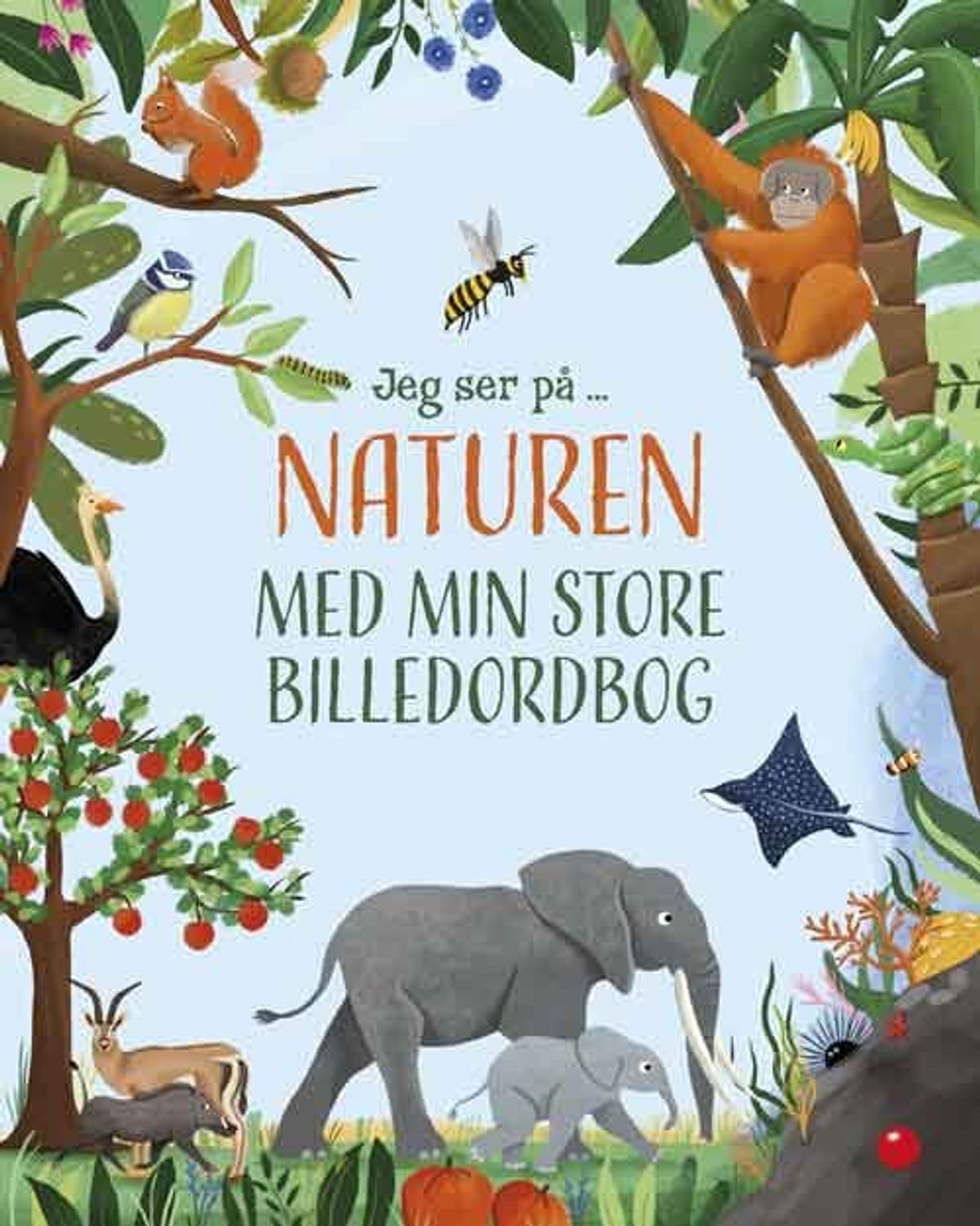 Jeg Ser På ... Naturen Med Min Store Billedordbog - Forlaget Bolden - Bog