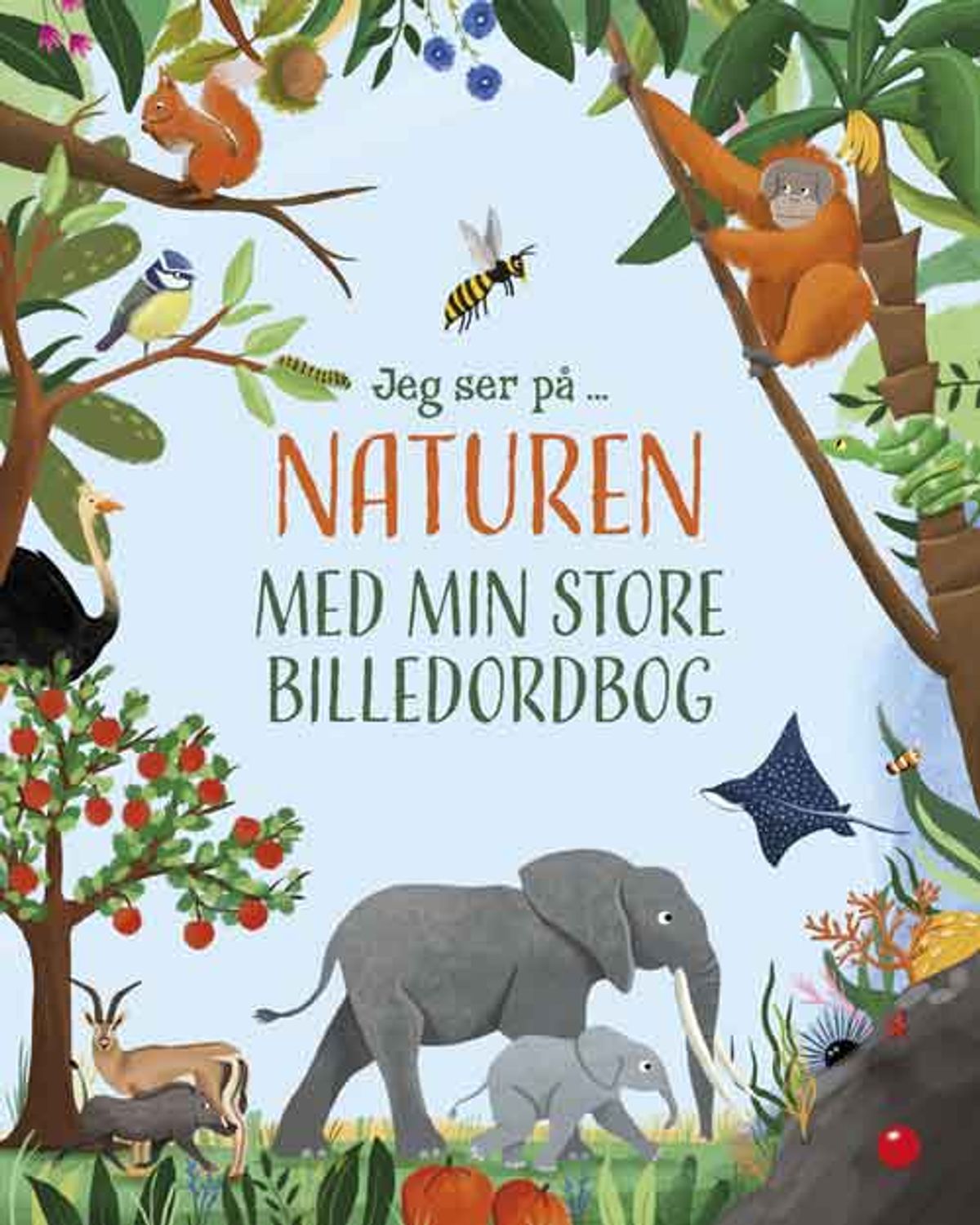 Jeg ser på: Naturen med min store billedordbog