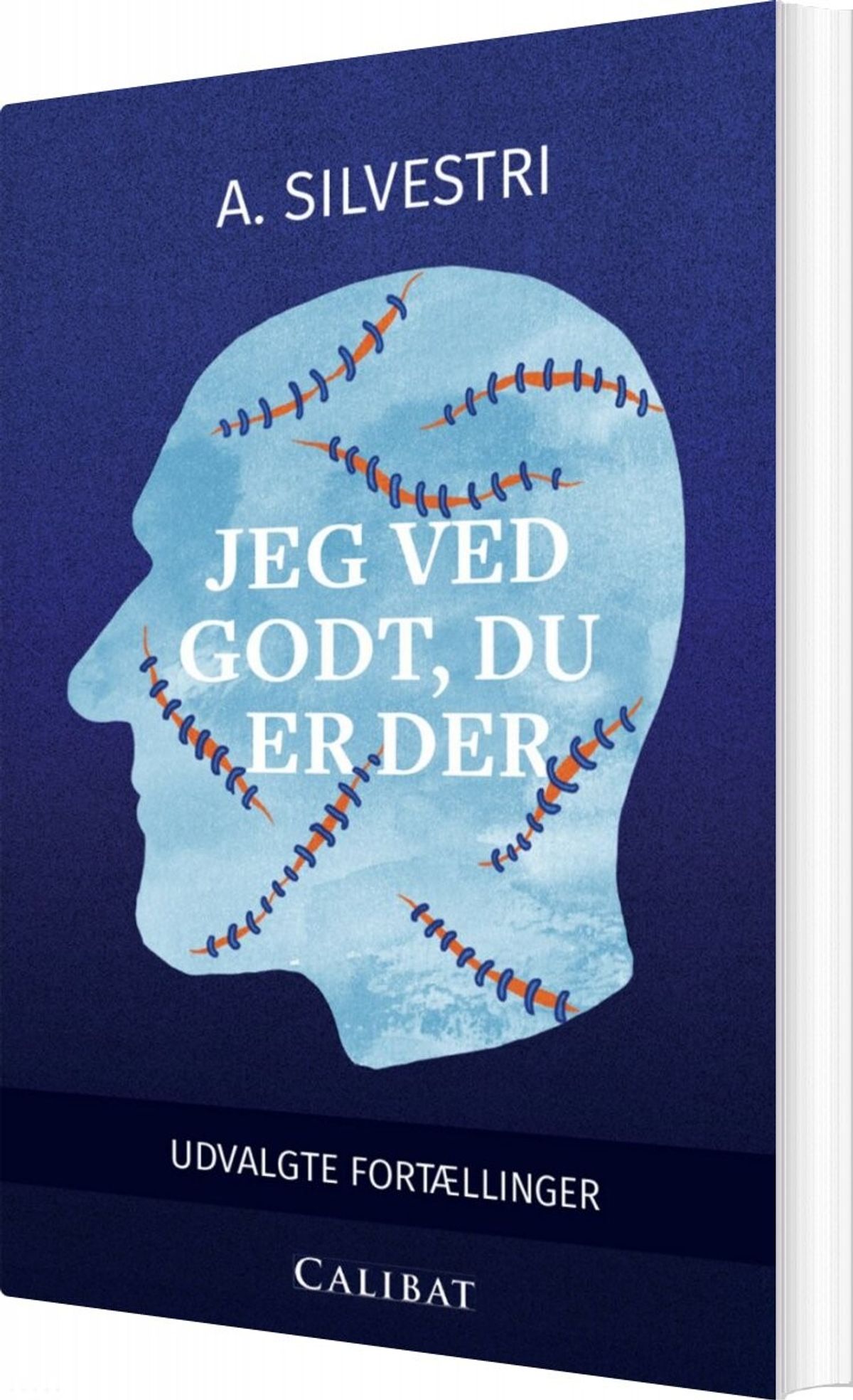 Jeg Ved Godt, Du Er Der - A. Silvestri - Bog