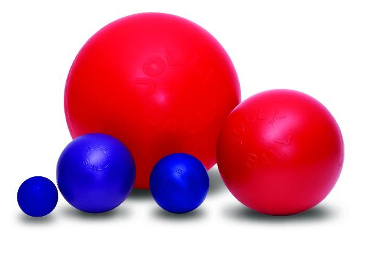 Jolly Pets Push-n-Play Ball