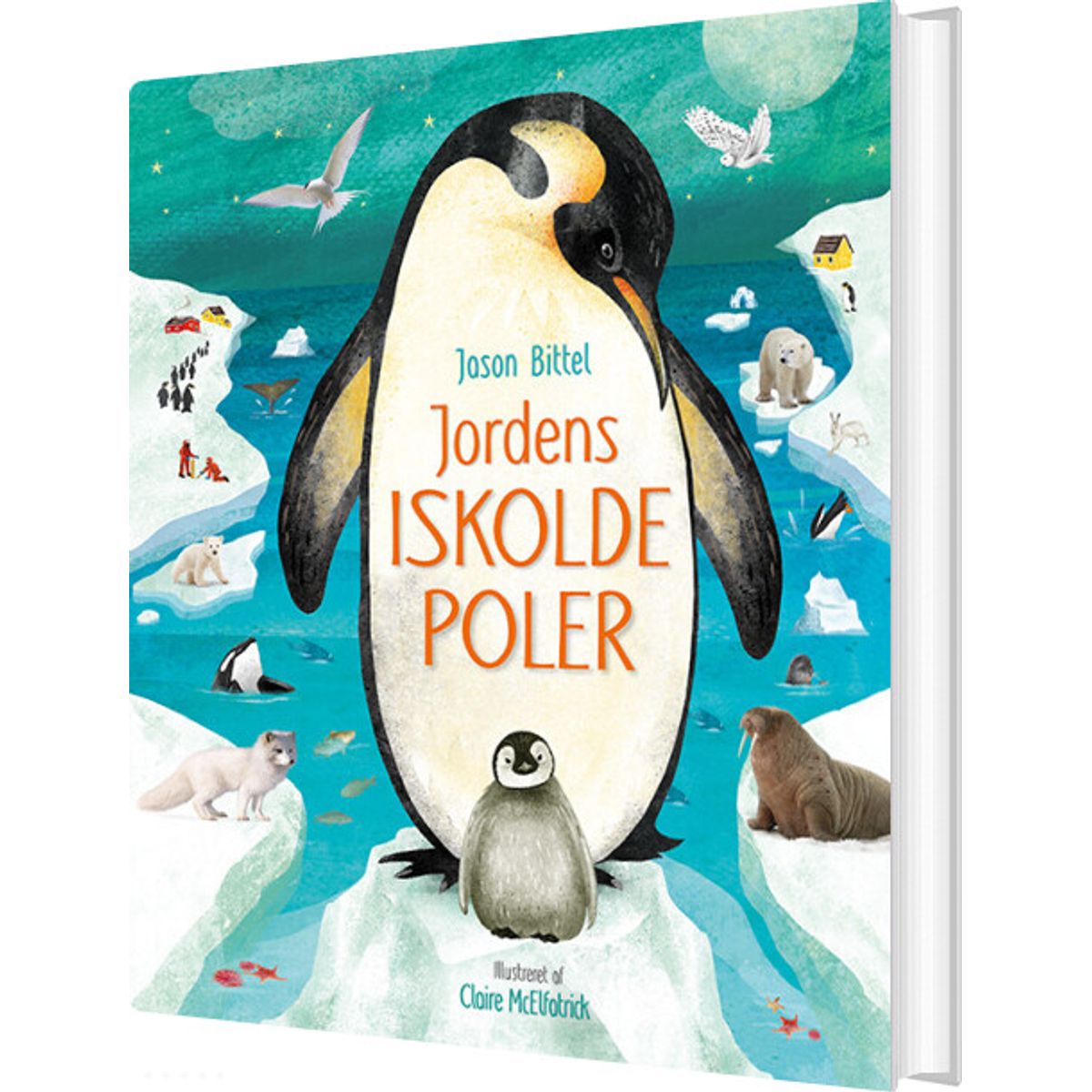 Jordens Iskolde Poler - Jason Bittel - Bog