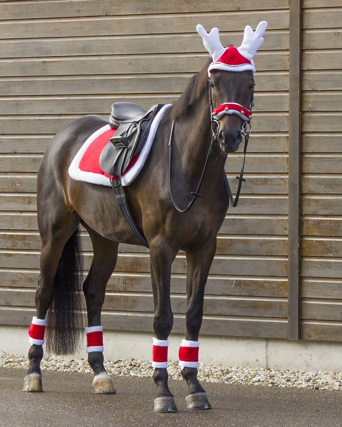 Julehat til hesten - rensdyr Pony