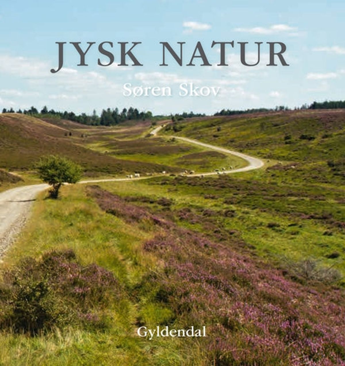 Jysk natur