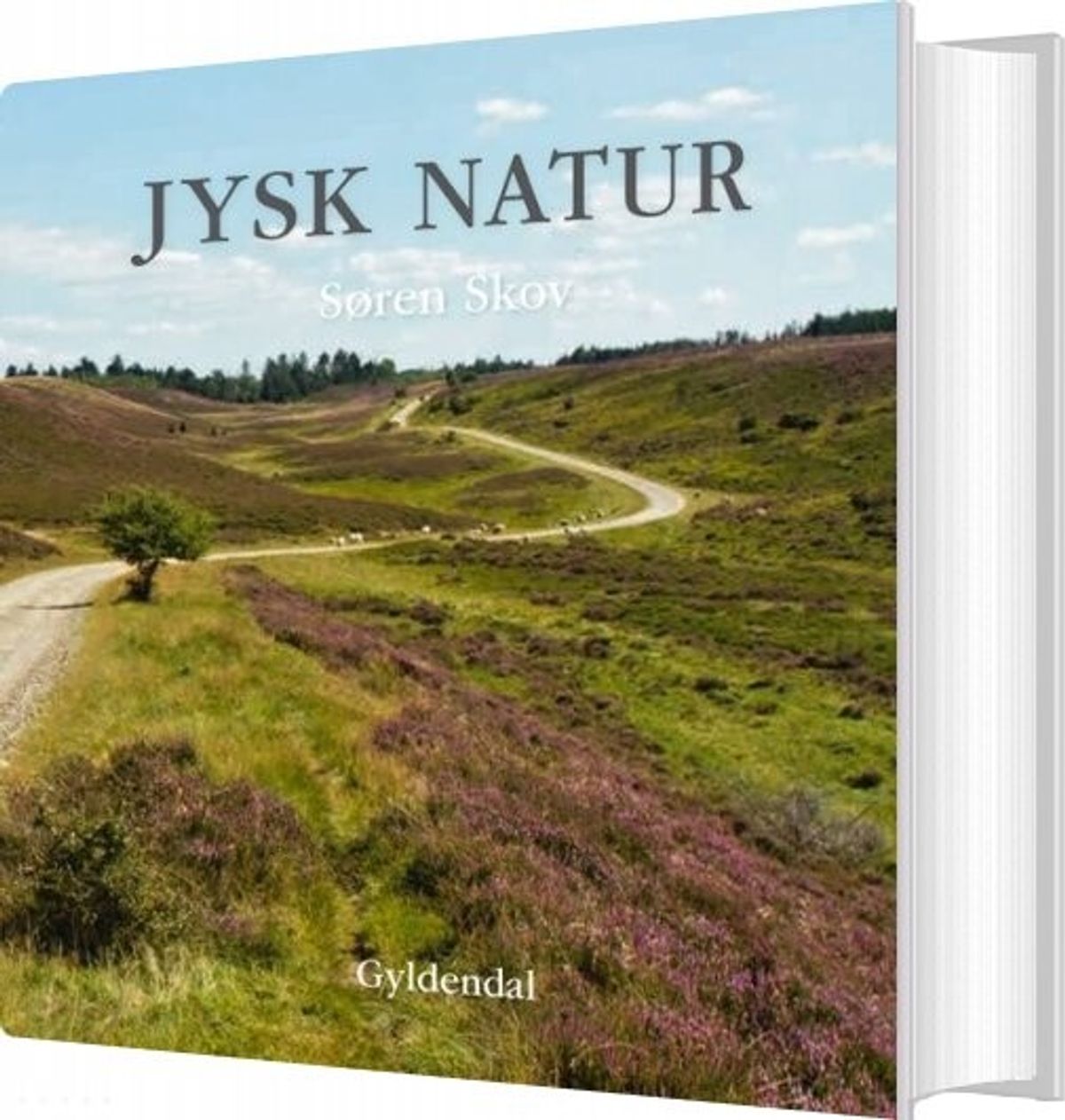 Jysk Natur - Søren Skov - Bog