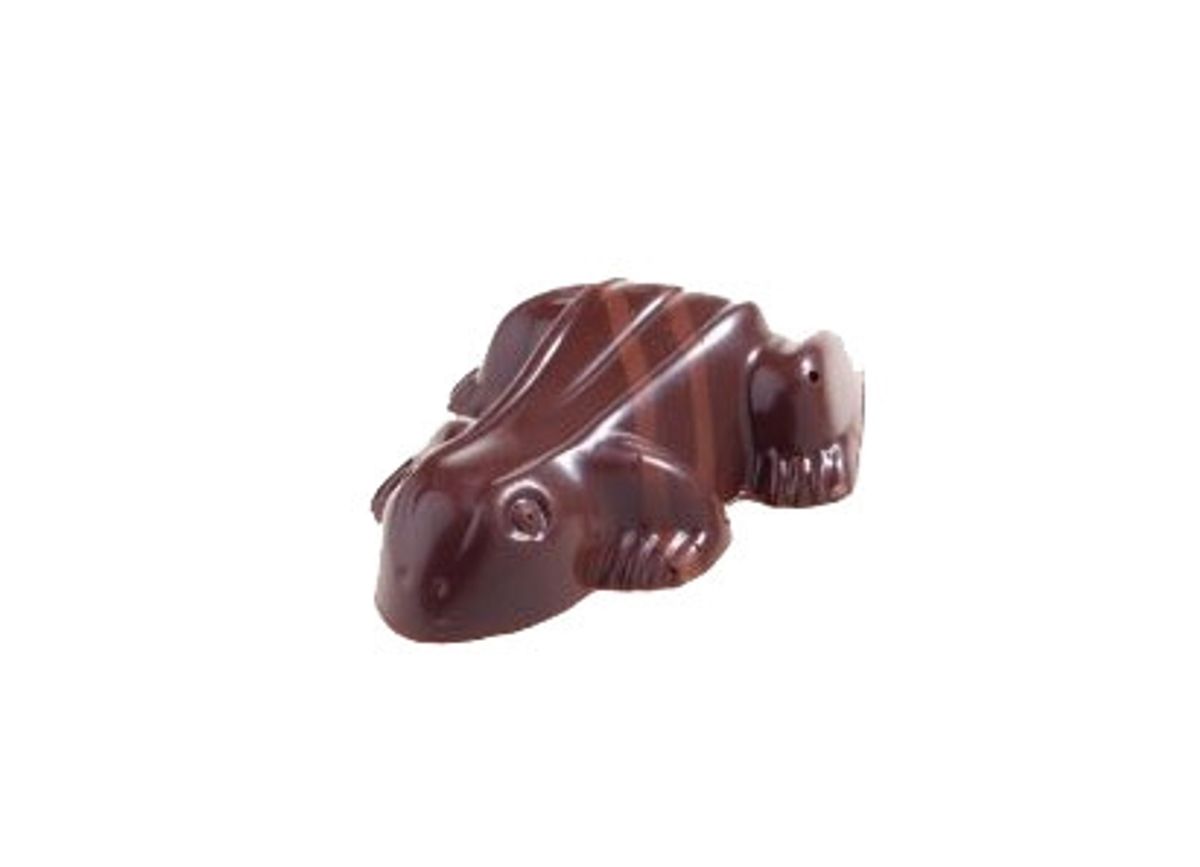 Karamel Chokolade Frø