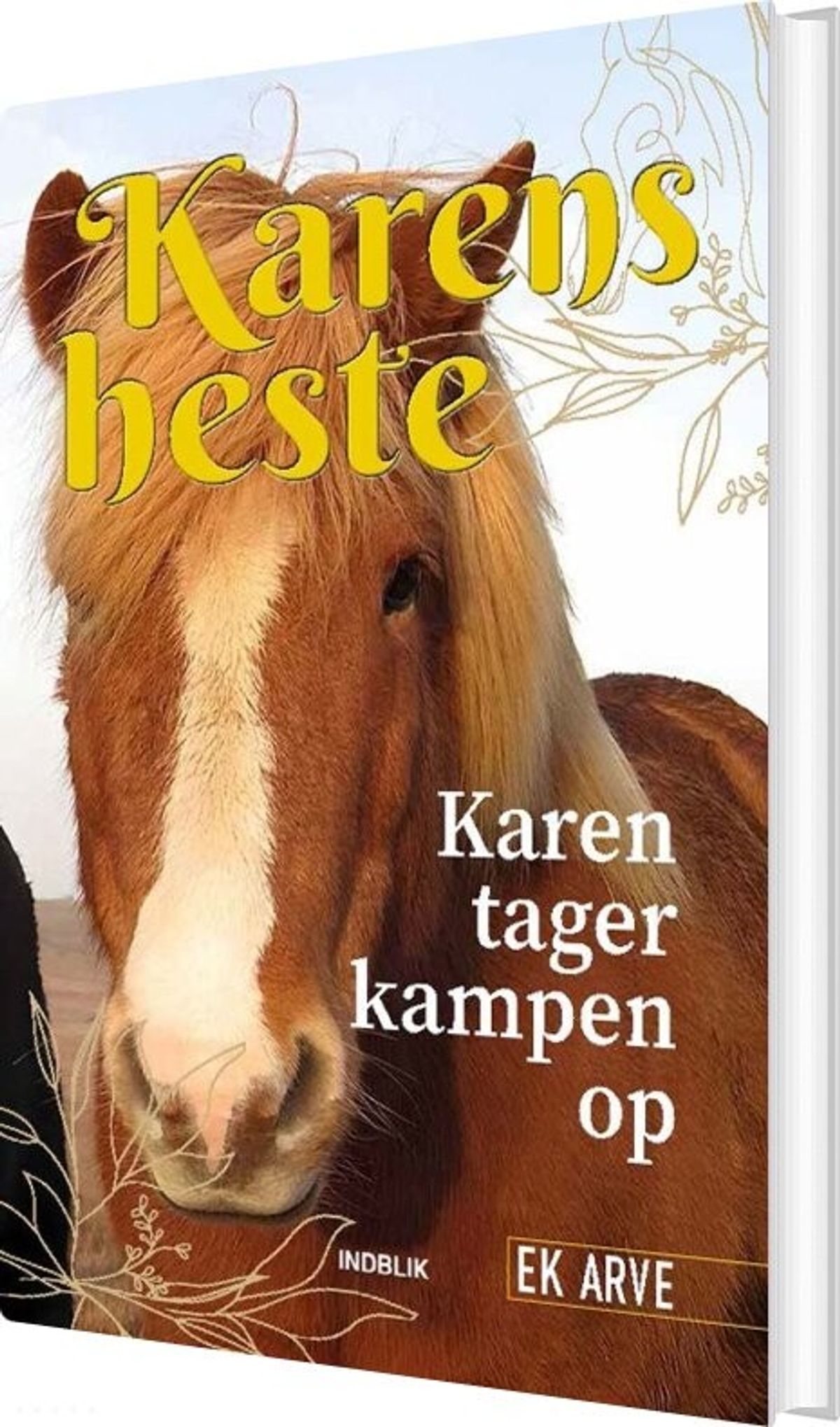 Karen Tager Kampen Op - Ek Arve - Bog