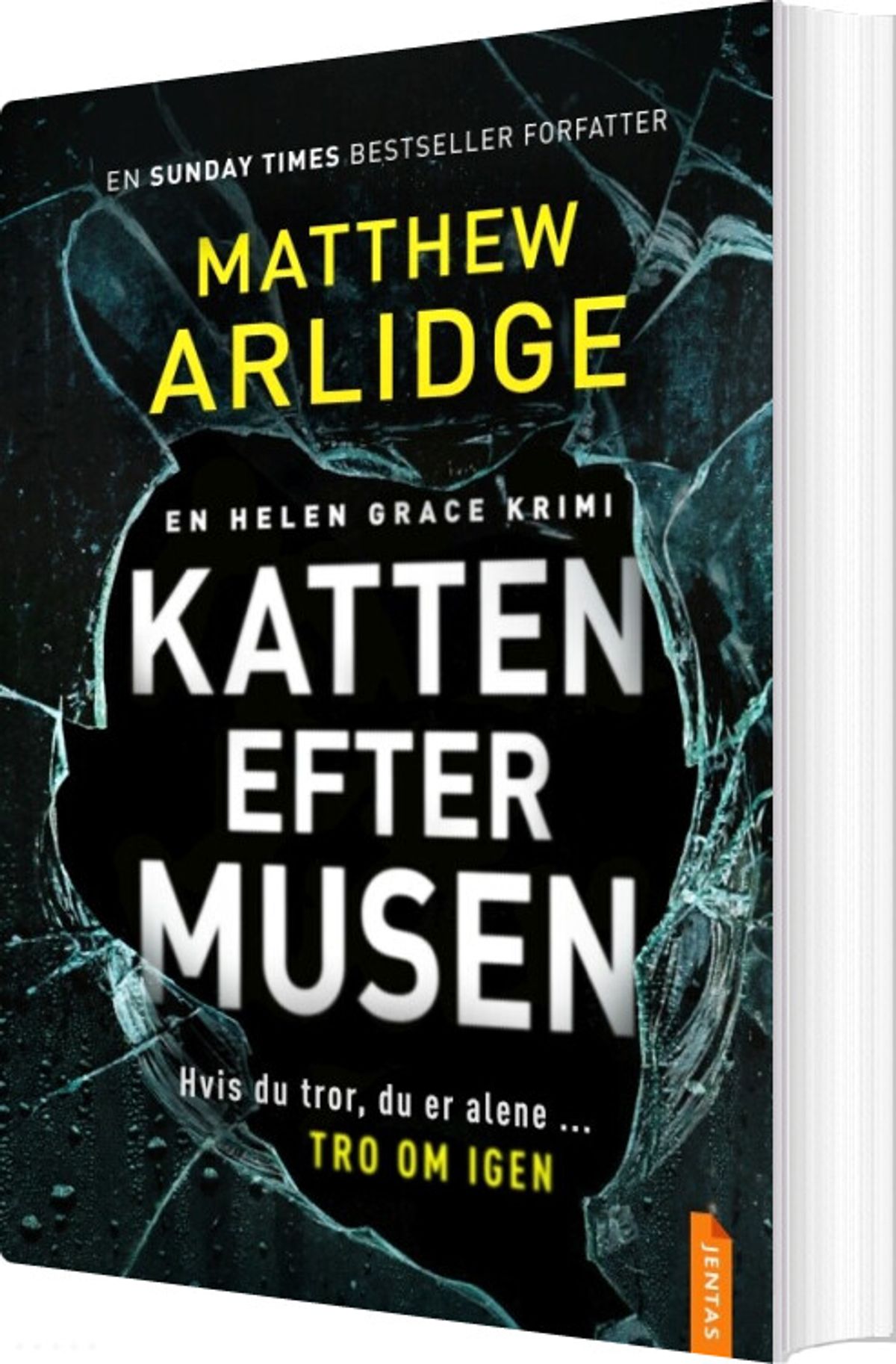 Katten Efter Musen - Matthew Arlidge - Bog